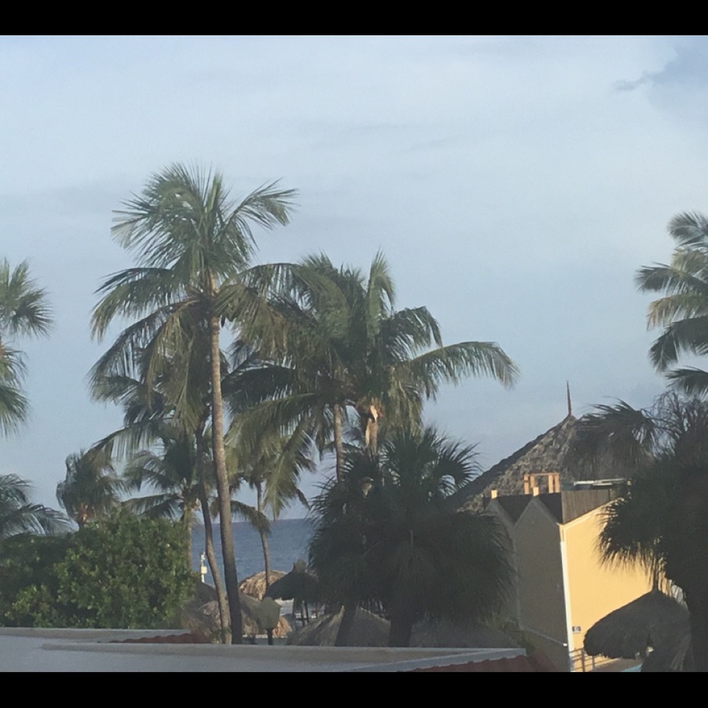 Meet your Posher, Ellen